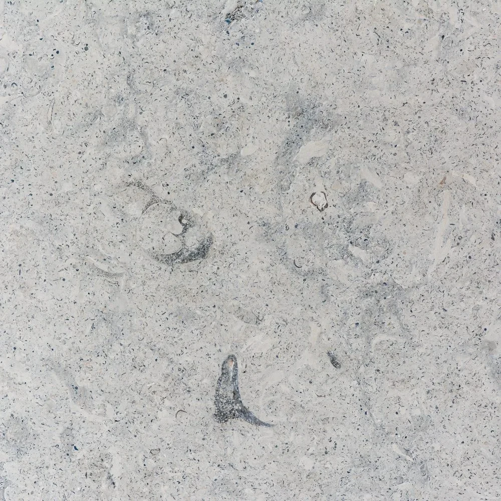 limestone-cinza-mistico-di-marmore