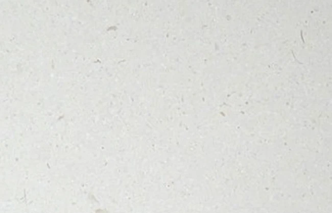 limestone-piedra-paloma-di-marmore