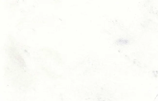 marmore-branco-sivec-a-di-marmore