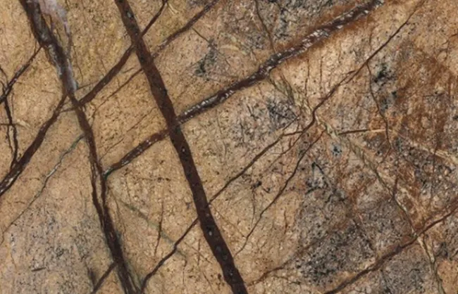 marmore-rain-forest-brown-di-marmore