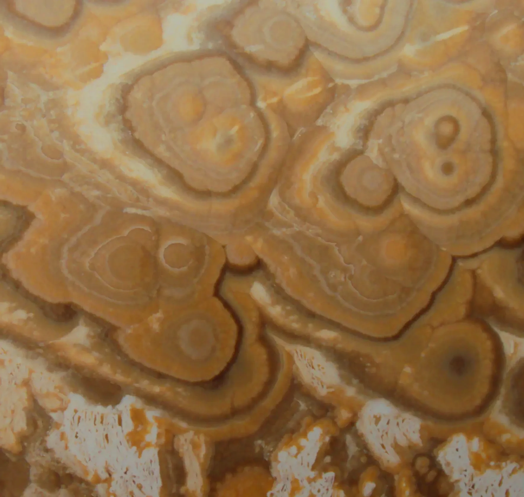 onix-miele-di-marmore