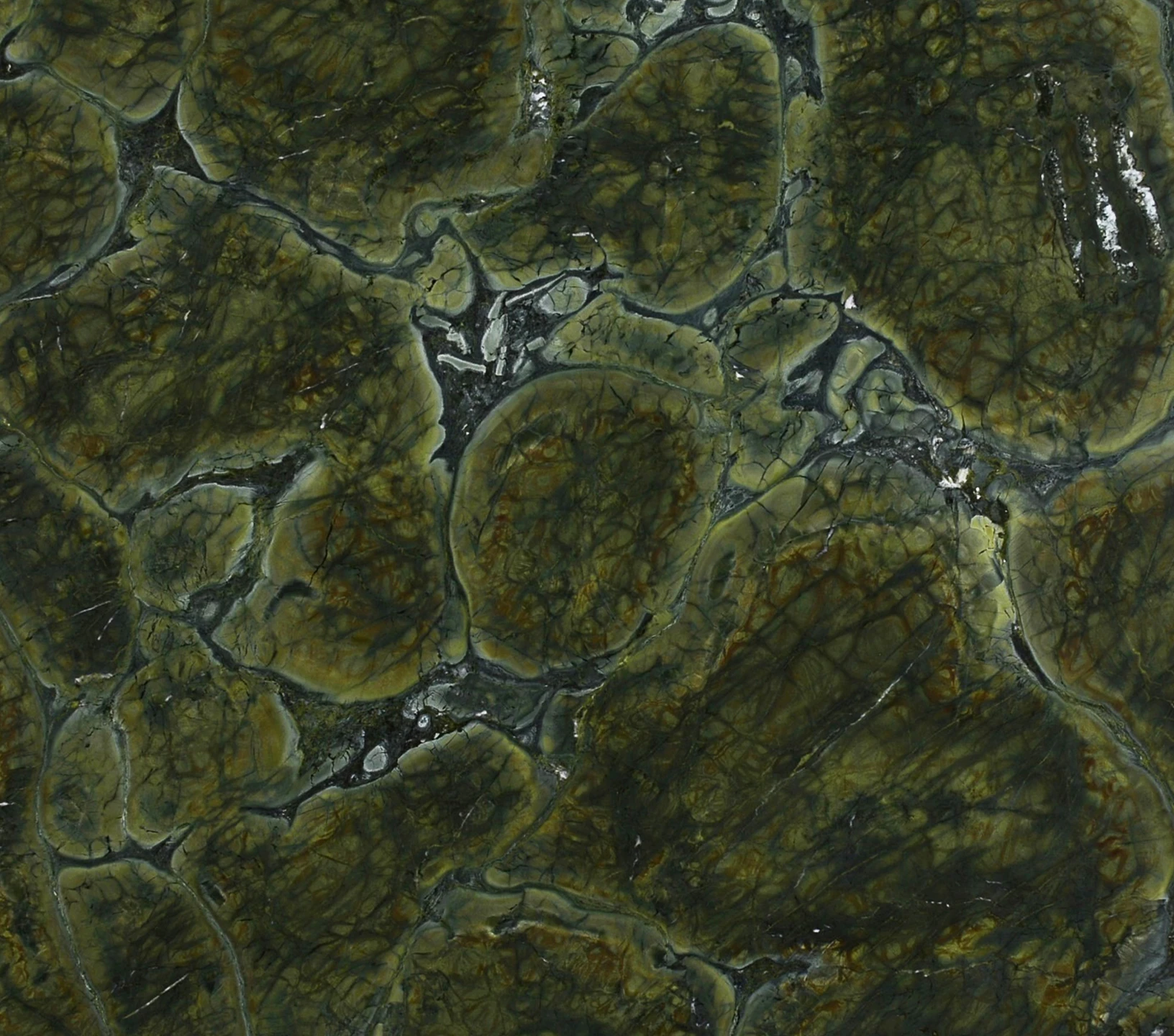 quartzito-vitoria-regia-di-marmore